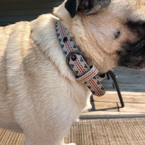 Aztec Dog Collar (A)